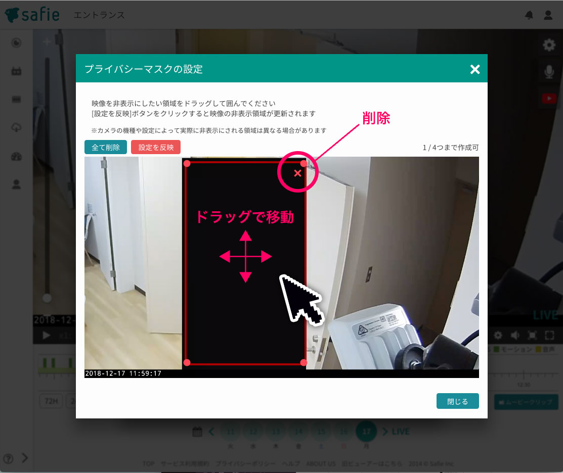 privacy-mask4.jpg